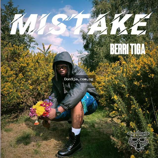 Mistake cover