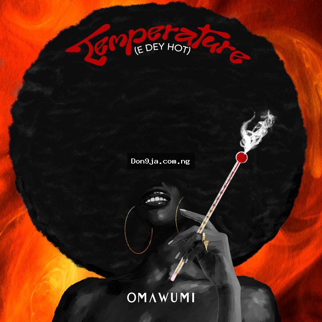 Temperature (E Dey Hot) cover